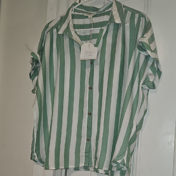 Green and White Striped Button Down Shirt - Picture 1 of 1